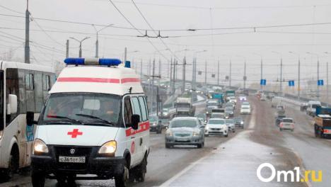 Февральская непогода: в Омской области будут бушевать метели