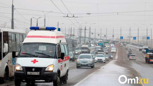 Февральская непогода: в Омской области будут бушевать метели