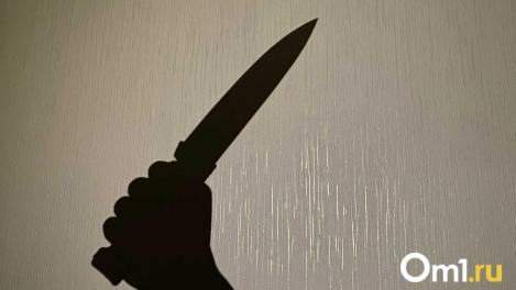 Садистский поступок в Новосибирске: собака погибла от рук хозяина