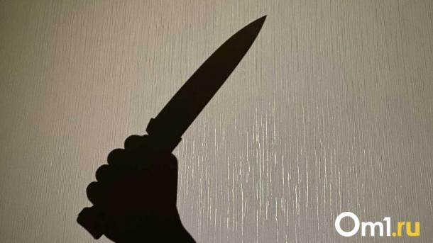 Садистский поступок в Новосибирске: собака погибла от рук хозяина