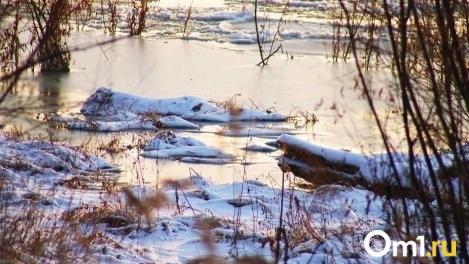 Омичи рассказали о рекордном улове карася на Салтаиме: клюёт даже на сало