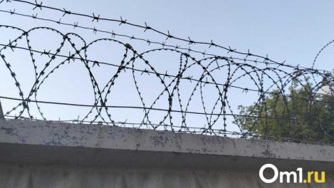 В Новосибирске задержан мужчина, по подозрению в заказном убийстве собственной матери