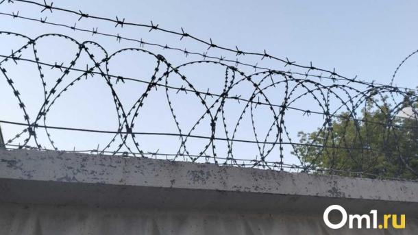 В Новосибирске задержан мужчина, по подозрению в заказном убийстве собственной матери