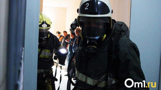 В Новосибирской области зарегистрировали около ста пожаров за девять дней