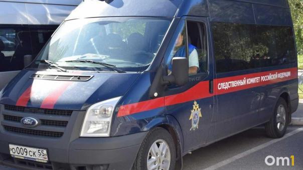 Бастрыкин заинтересовался делом омской сироты, которая 8 лет ждёт квартиру