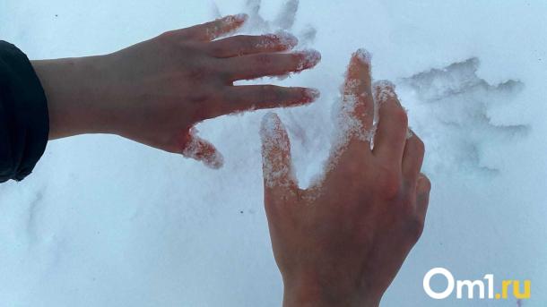 В Новосибирской области в начале недели ожидается потепление до +3