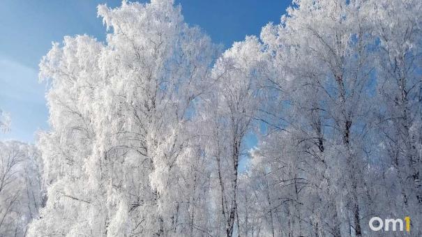 От −14 градусов до +2: погода в Новосибирске устроит настоящие качели