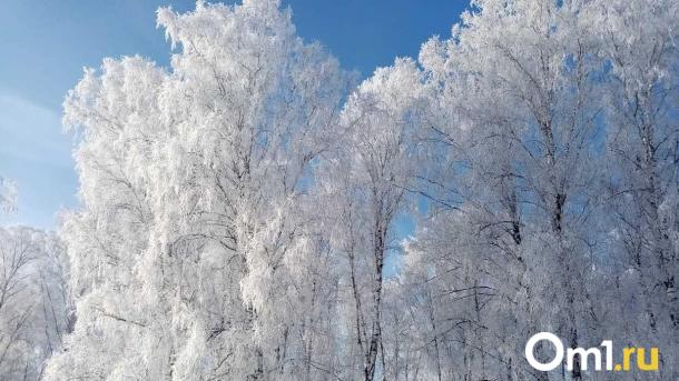 От −14 градусов до +2: погода в Новосибирске устроит настоящие качели