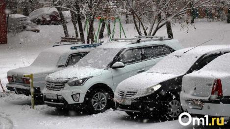 Мокрый снег и гололёд: опасная погода накроет Новосибирск 10 февраля