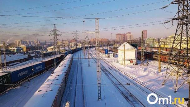 В грузовом поезде из Омска обнаружили течь ГСМ