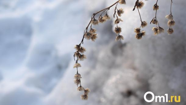 Спасатели предупредили новосибирцев о неблагоприятных погодных условиях 11–12 февраля