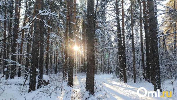 Синоптики рассказали, какая погода будет в Новосибирске 11 февраля