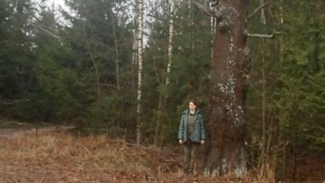 Подмосковный дуб возрастом до 200 лет внесли в Национальный реестр деревьев-старожилов России