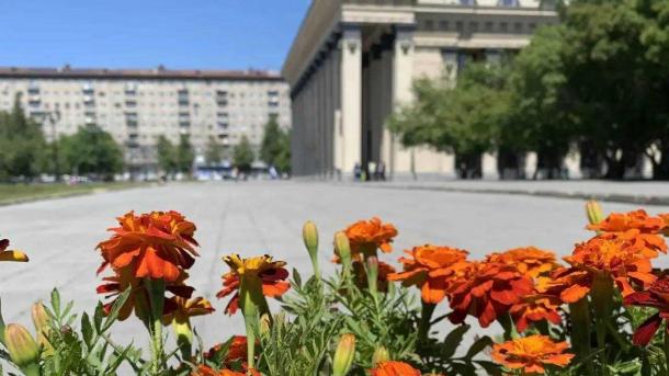 В Новосибирске этим летом высадят более 400 тысяч цветов