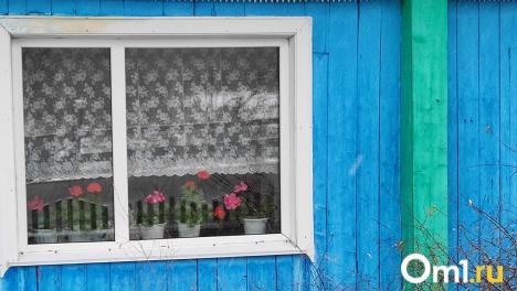 В Омске на 12-й Северной выставили на продажу необычный дом