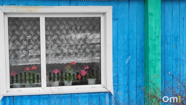 В Омске на 12-й Северной выставили на продажу необычный дом