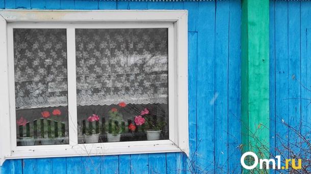 В Омске на 12-й Северной выставили на продажу необычный дом