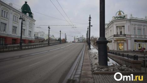 В Омске Любинский проспект снова сделают пешеходным