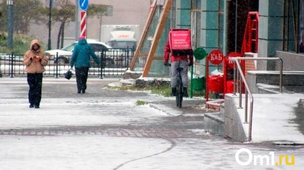 Мороз, метель и скользкие дороги: погода в Омске на выходные