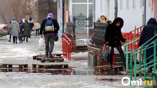 Омичей в середине февраля ожидает нулевая температура и дождь со снегом
