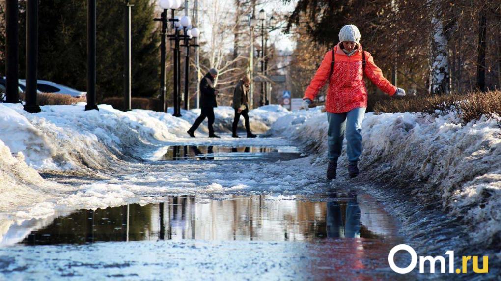 Скоро поплывём? В Омске в начале недели ожидается мощное потепление и дождь