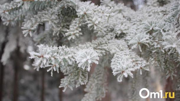 Синоптики рассказали, какой будет погода в Новосибирске на этой неделе
