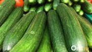 Огурцы в Новосибирске догнали в цене ананасы: в магазинах ввели лимиты на продажу овощей