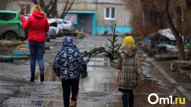 После короткой оттепели в Омск вернутся морозы: синоптики назвали дату