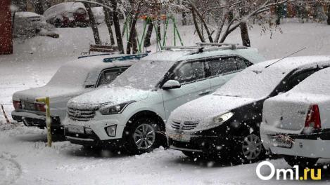 Новосибирцам напомнили о новых правилах обучения в автошколах