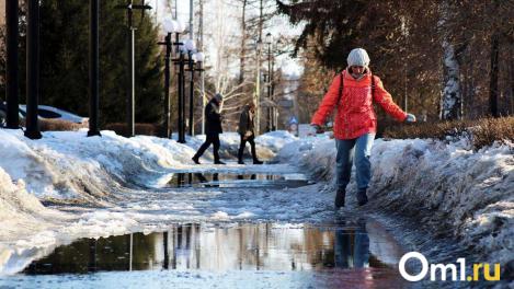В Омской области в ближайшие сутки ожидаются метель и гололёд