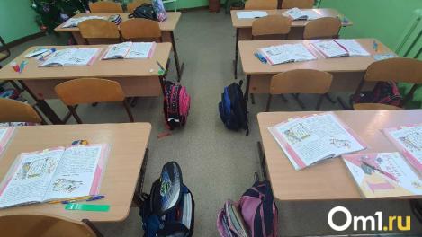 Стало известно, сколько детей учится в самых маленьких школах Омской области