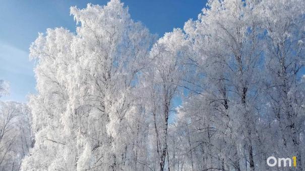 Мокрый снег, дождь и потепление ожидаются в Новосибирске в среду