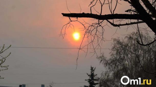 Первое солнечное затмение года прошло мимо Новосибирска