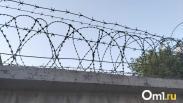 Новосибирец оштрафован на 25 тысяч рублей за незаконную охоту на косулю