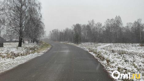 В 2026 году отремонтируют трассу, соединяющую Новосибирск с границей Казахстана