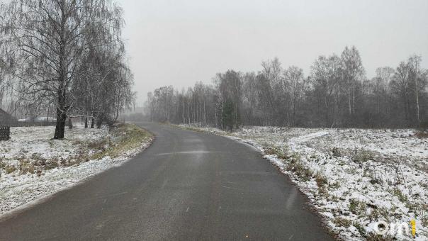 В 2026 году отремонтируют трассу, соединяющую Новосибирск с границей Казахстана