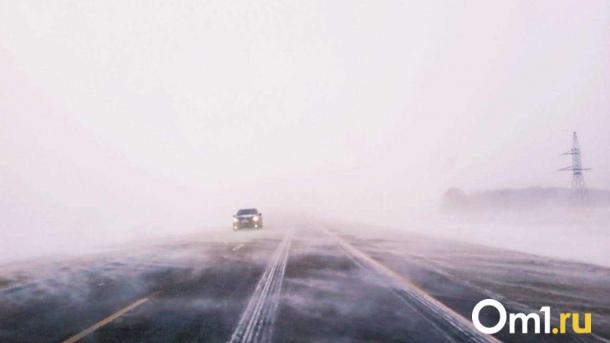 Видимость — 50 метров: трассу Новосибирск — Ленинск-Кузнецкий перекрыли из-за метели