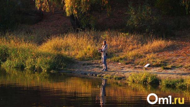 Новосибирский рыбак-блогер ловит 18-килограммовых щук и набирает миллионы просмотров