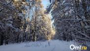 Синоптики предупредили о морозе и метелях 18 февраля