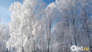 Морозы до -32°C ожидаются в Омской области на выходных