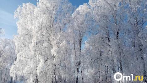 Морозы до -32°C ожидаются в Омской области на выходных