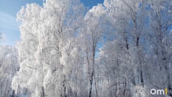 Морозы до -32°C ожидаются в Омской области на выходных