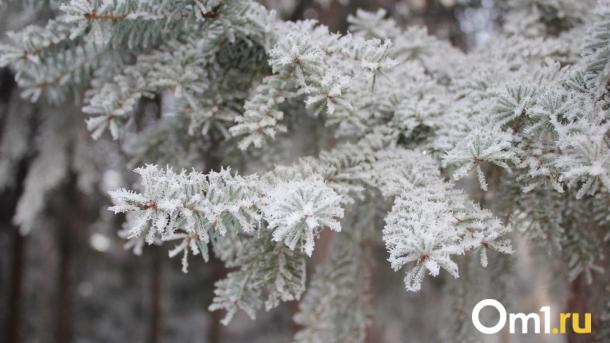 До −33 градусов: в Новосибирскую область возвращаются лютые морозы
