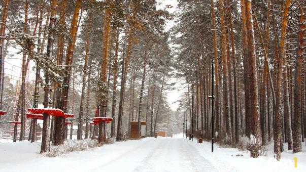 В Новосибирске появится новый мемориал — кого он будет увековечивать?
