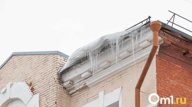 К 1 марта в Омск придёт потепление, но весна ещё не наступит