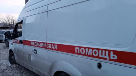 Врачи призывают новосибирцев сделать прививку от клещевого энцефалита