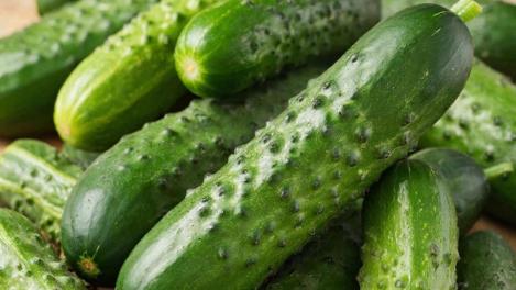 В Новосибирске огурцы подешевели в полтора раза после вмешательства прокуратуры и ФАС