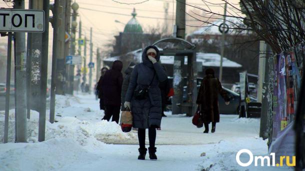 Потепления не предвидится: в Омской области температура опустится до −42 градусов