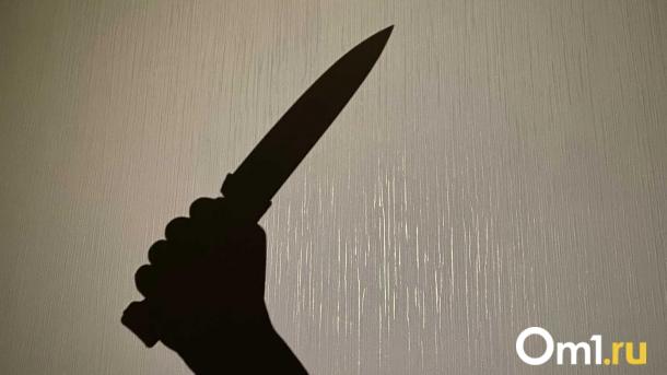 Девять ударов ножом: новосибирец получил 7,5 лет колонии за покушение на убийство