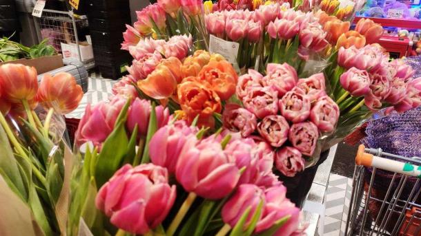 Новосибирцы планируют потратить в среднем 5 500 рублей на 8 Марта